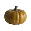 PUMPKIN Dekoration, Senapsgul