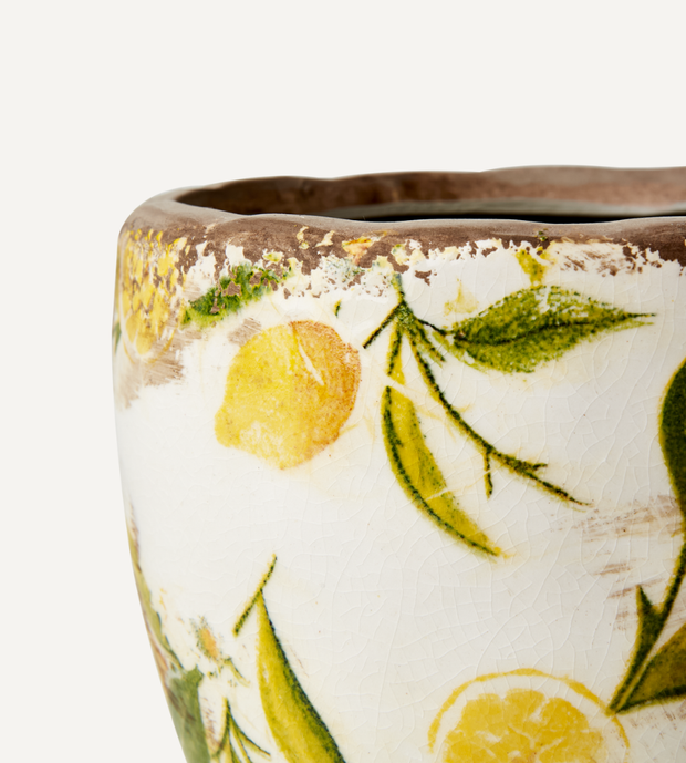 LEMONA Kruka med citroner XS