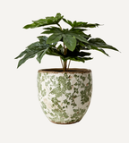 VICTORIA Kruka L, Vit/grön