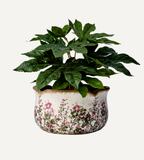 SPRING Kruka, Vit/grön/rosa