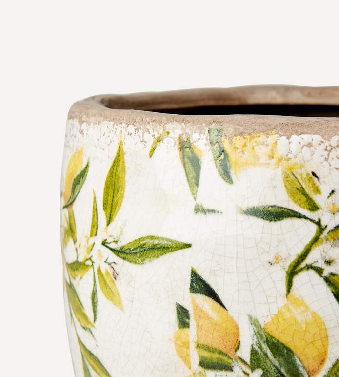 LEMONA Kruka med Citroner L