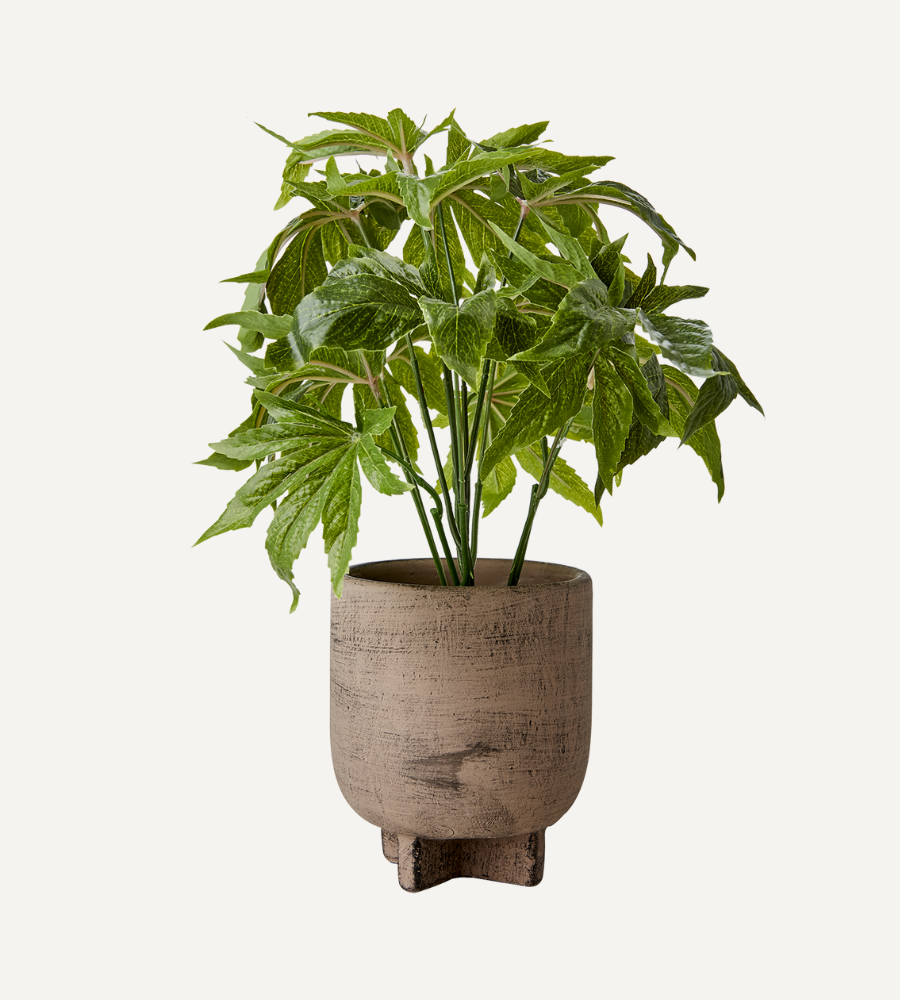 FUDGE Kruka M, Nougatbrun