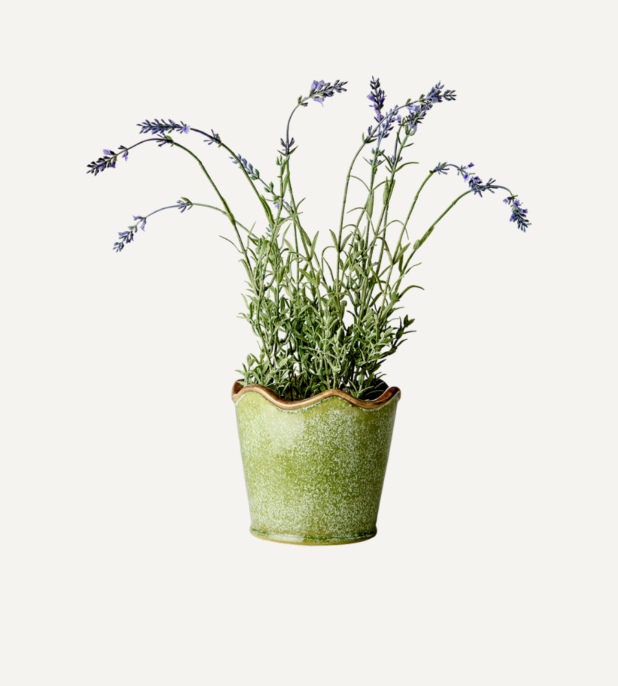 LIVIA Kruka S, Grön