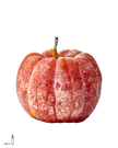 EVENT Uteljus pumpa, Mörkorange