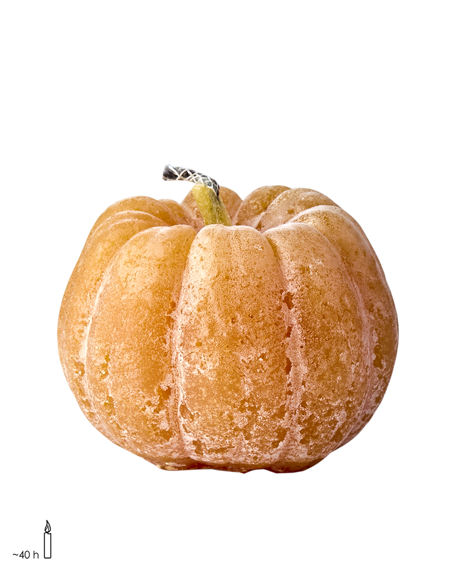 EVENT Uteljus pumpa, Ocra