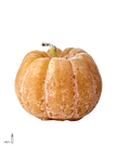 EVENT Uteljus pumpa, Ocra