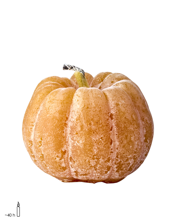 EVENT Uteljus pumpa, Ocra