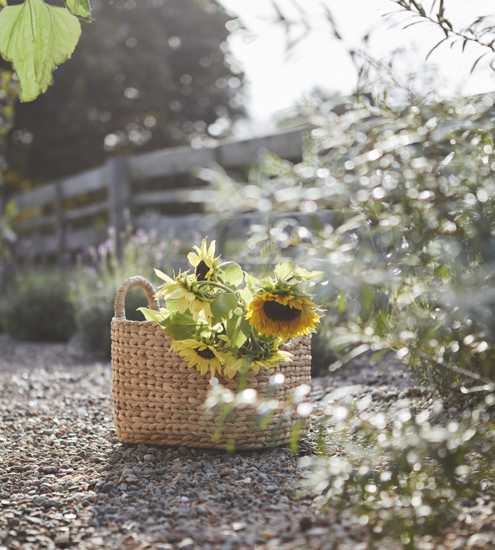 COLLECT Korg, set om 2, Natur