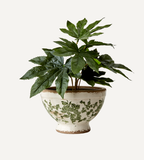 VICTORIA Kruka M, Vit/grön