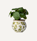 OLIVE Kruka rundad, Vit/grön