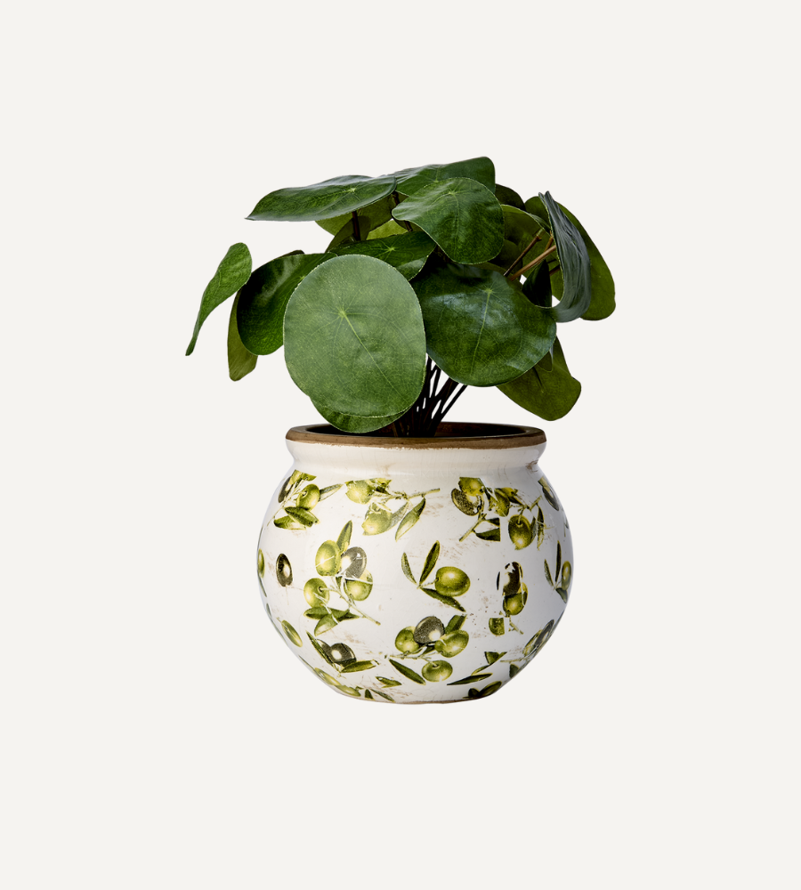 OLIVE Kruka rundad, Vit/grön