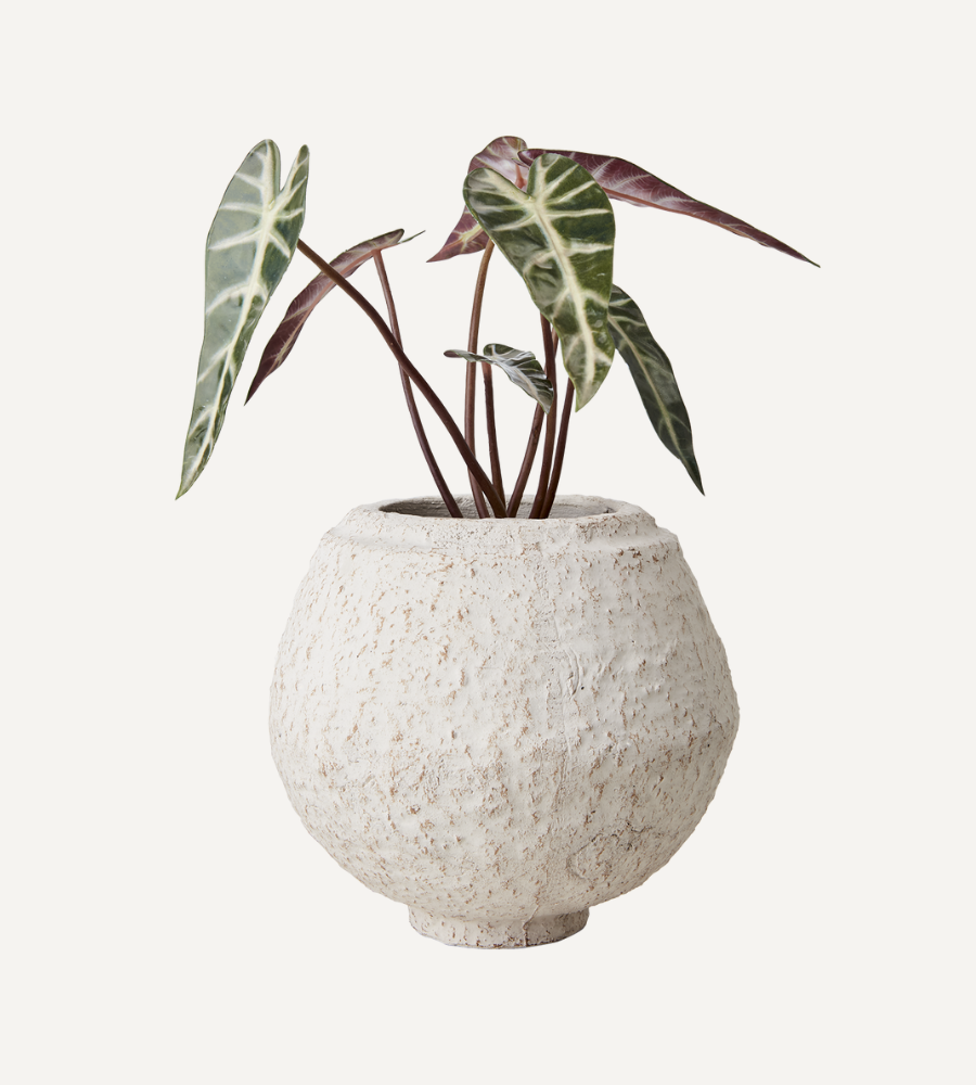 CREAM Kruka M, Elfenben