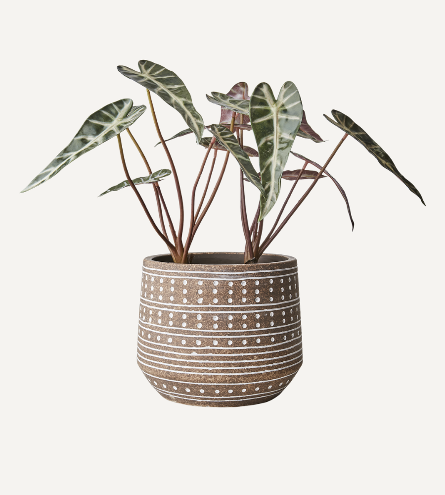 CAMILLE Kruka L, Beige