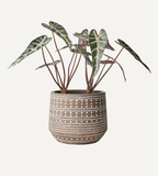 CAMILLE Kruka L, Beige