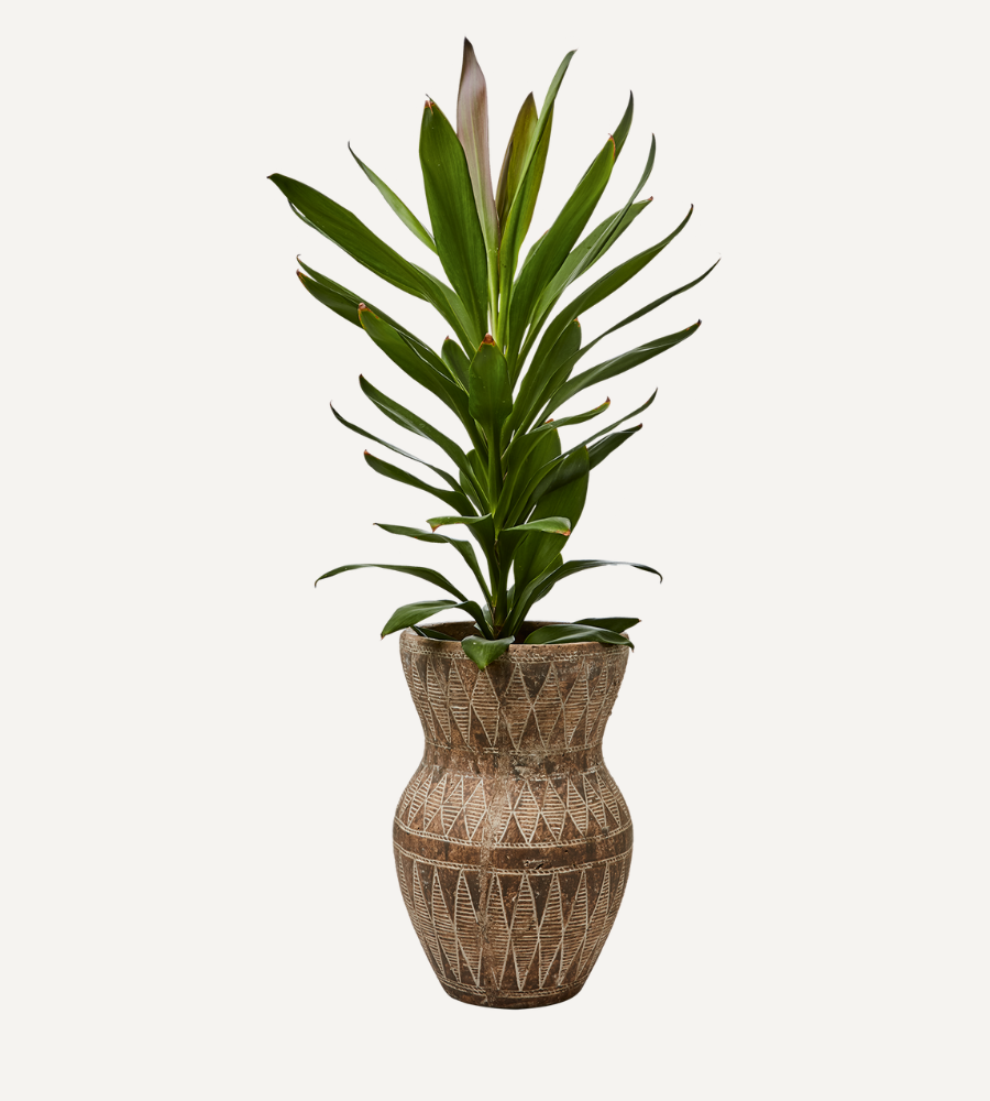 CAMILLE Kruka, Beige