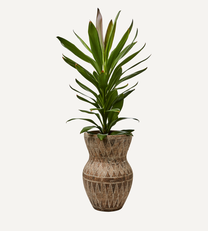 CAMILLE Kruka, Beige